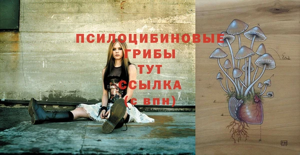 ALPHA-PVP Арсеньев