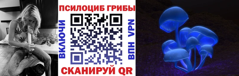 Галлюциногенные грибы MAGIC MUSHROOMS  даркнет сайт  Пустошка 